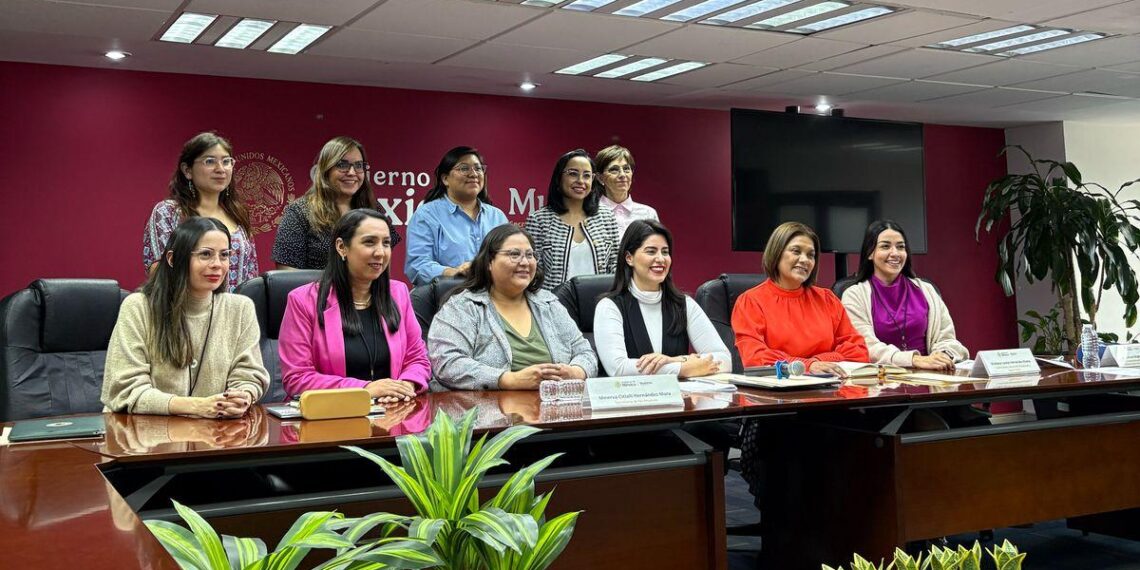 Juntas trabajando por la igualdad sustantiva y el empoderamiento de las mujeres: Ana Chiquete Elizalde