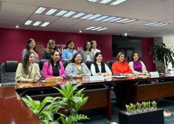 Juntas trabajando por la igualdad sustantiva y el empoderamiento de las mujeres: Ana Chiquete Elizalde