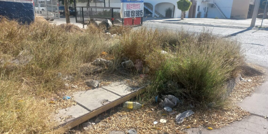 Vecinos del sector centro reportan contaminación por basura – NR | NOTICIAS