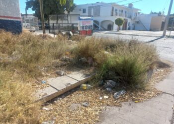 Vecinos del sector centro reportan contaminación por basura – NR | NOTICIAS