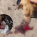 ¡Lamentable! Perrita pierde su pata, tras ser macheteada en Ejido Macapule – NR | NOTICIAS