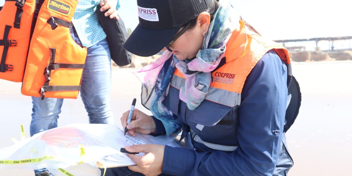 COFEPRIS anunció la reapertura de la Barra de Teacapán del municipio de Escuinapa y Bahía Lechuguilla en el municipio de Ahome. 