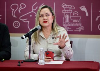 En operativos coordinados, en Sinaloa se detuvieron a dos personas, se aseguraron dos armas y se localizaron 15 laboratorios durante los últimos días: SSPE