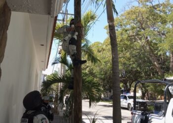 Retiran cámaras de videovigilancia clandestinas instaladas en negocios y calles de Culiacán