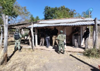 En tres domicilios en Sinaloa, se aseguraron 4,700 litros y 269 kilos de metanfetamina