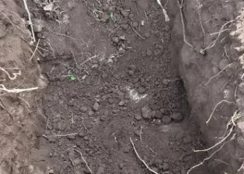 Fosa Clandestina es encontrada en La Colorada, Angostura