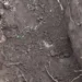 Fosa Clandestina es encontrada en La Colorada, Angostura