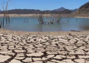 Las presas no se  recuperarán para septiembre: SADER advierte otra sequía en Sinaloa