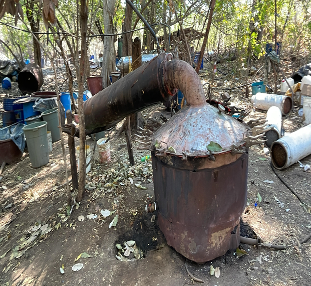 El gabinete de seguridad del Gobierno de México informa los resultados obtenidos de la “operación frontera norte” el día 03 de marzo de 2025