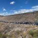 10 mil personas toman la presa La Boquilla, Chihuahua