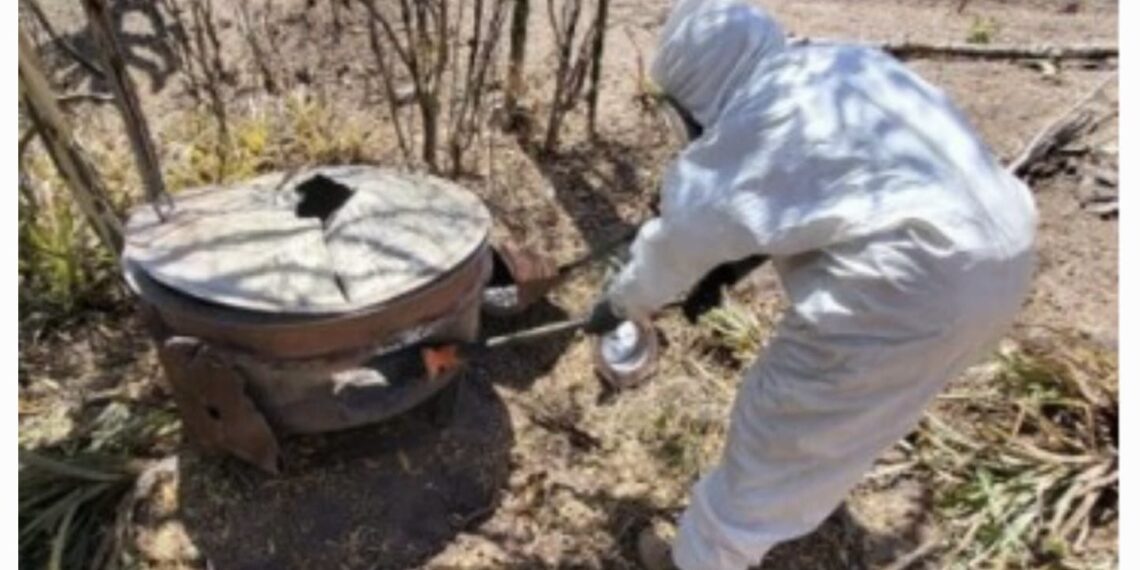 Nuevamente en Culiacán y Cosalá, aseguran 9 ‘narcolaboratorios’