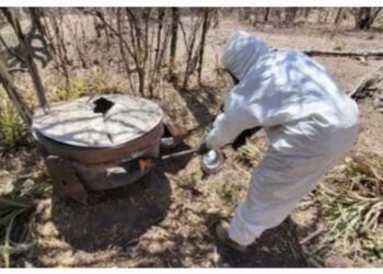 Nuevamente en Culiacán y Cosalá, aseguran 9 ‘narcolaboratorios’