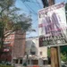 Rechazan más de la mitad de los proyectos inmobiliarios en CDMX por incumplir con uso de suelo