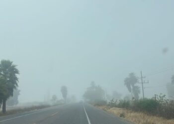 Altas temperaturas y viento fuerte en Sinaloa; prevén bancos de niebla en la costa