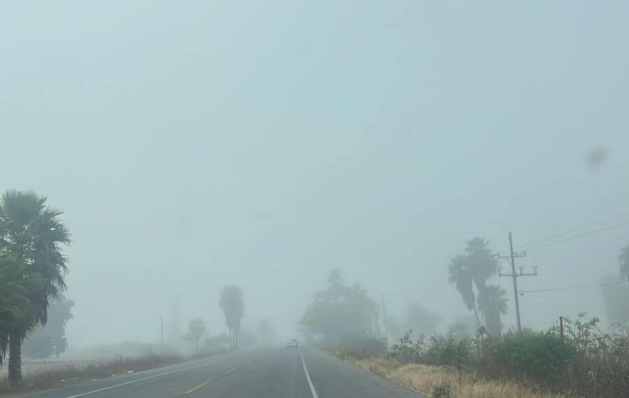 Altas temperaturas y viento fuerte en Sinaloa; prevén bancos de niebla en la costa