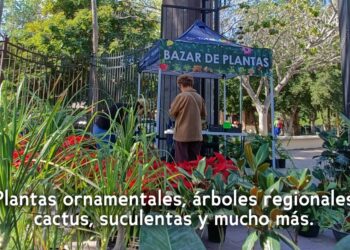 Inicia el Bazar Botánico de Primavera en el Parque Sinaloa, Los Mochis