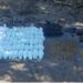 Aseguran drogas con valor estimado de 128 MDP, en Navolato