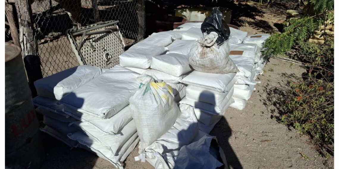 ‘Narcolaboratorio’ en Elota: aseguran precursores químicos para elaboración de metanfetamina