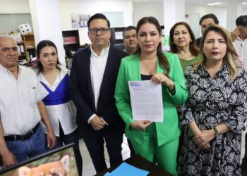 PAN interpone queja ante el IEES y el INE por campaña de afiliación masiva de Morena