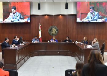 Avanza iniciativa que busca sancionar actividad de “halconeo” en Sinaloa