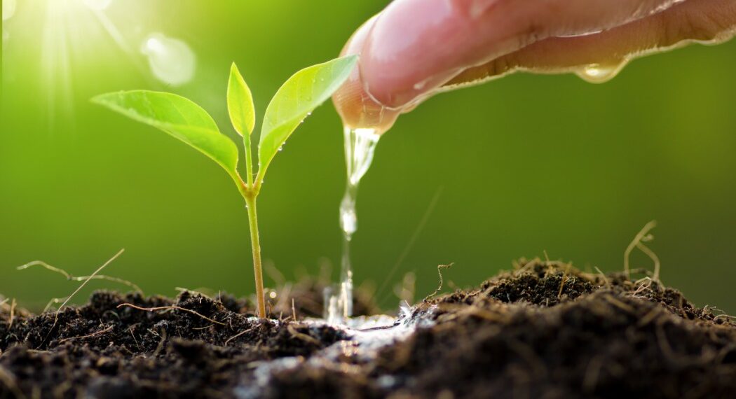 Esta es la importancia de optimizar el agua para la producción de alimentos 