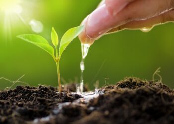 Esta es la importancia de optimizar el agua para la producción de alimentos 