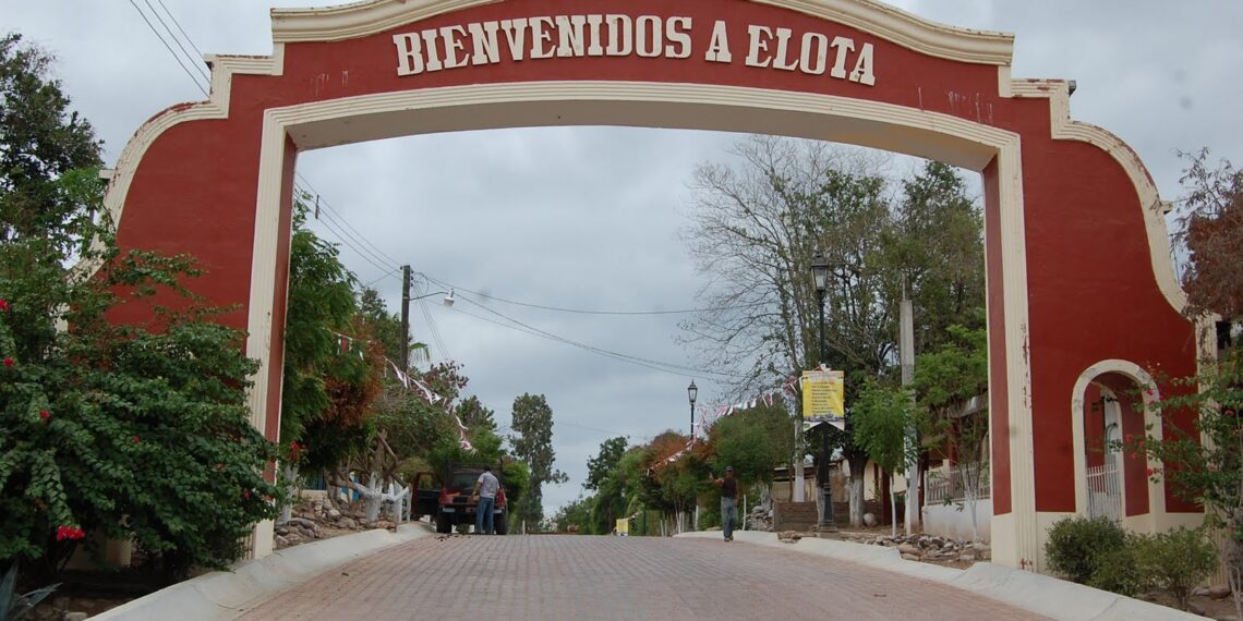 Reportan 28 muertos tras enfrentamiento armado en Elota 