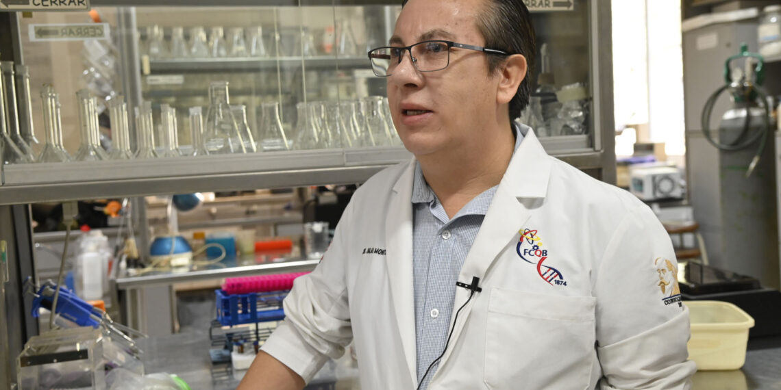 Investigador de la UAS trabaja en la detección de nuevos materiales con actividad biológica potencial que ayuden en combatir enfermedades