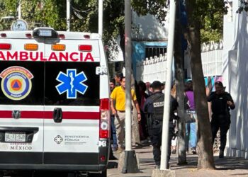 Ataque de abejas en secundaria deja 23 lesionados 