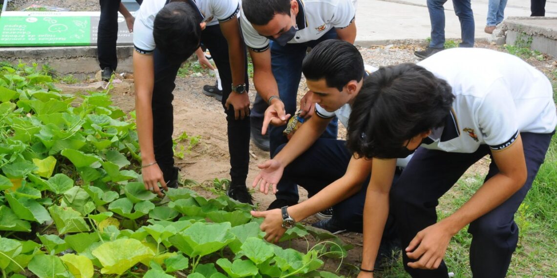 La UAS, a través de Bienestar Universitario, llevará a cabo el Primer Encuentro por la Sostenibilidad Ambiental, con temas de gran relevancia