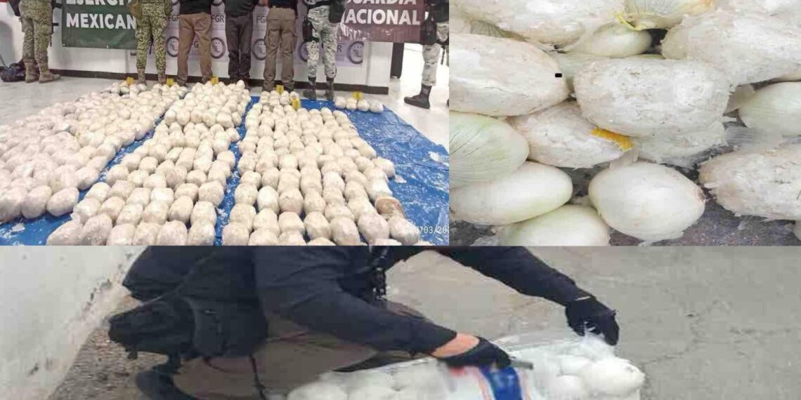 Aseguran en Tamaulipas 215 kilos de metanfetamina ocultos en cebollas