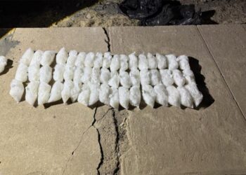 Decomisan  26 kilos de droga  en Navolato Sinaloa