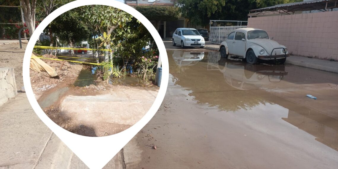 Vecinos del sector Parque reportan fuga de agua – NR | NOTICIAS