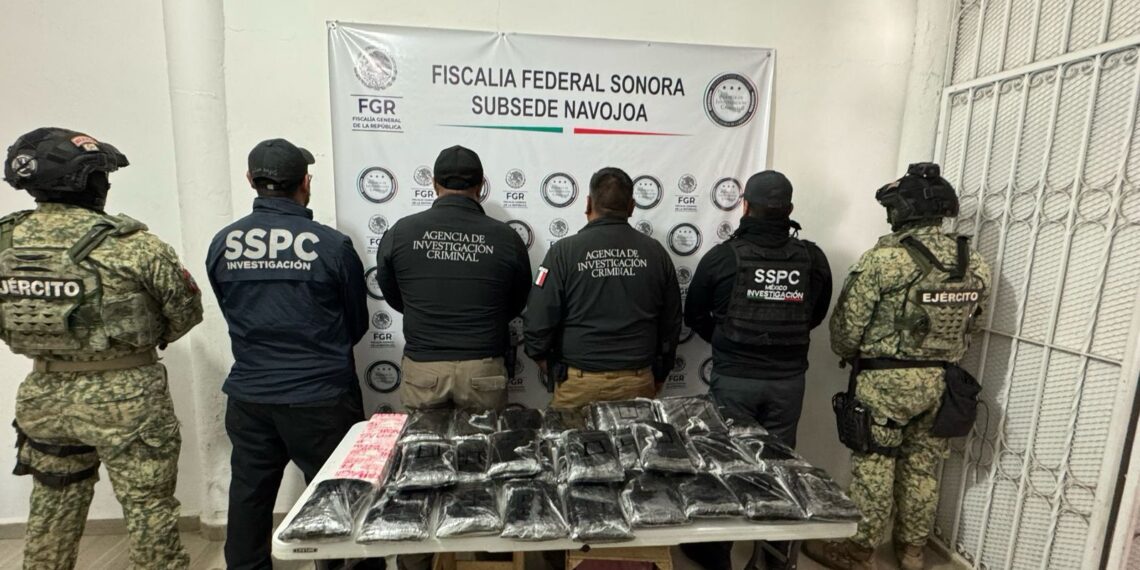 Detienen en Sonora a un hombre que transportaba 32 kilos de fentanilo ocultos en un cargamento de nopales