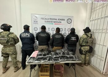 Detienen en Sonora a un hombre que transportaba 32 kilos de fentanilo ocultos en un cargamento de nopales