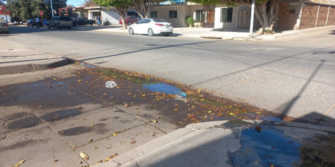 Ciudadanos de la colonia centro reportan fallas en el servicio del drenaje – NR | NOTICIAS