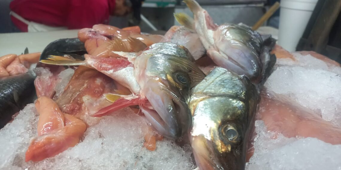 Marisqueros tienen un repunte de ventas de hasta un 60 %  por la cuaresma – NR | NOTICIAS 