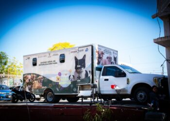 Inicia campaña de esterilización para perros y gatos en la unidad DIF Vallado