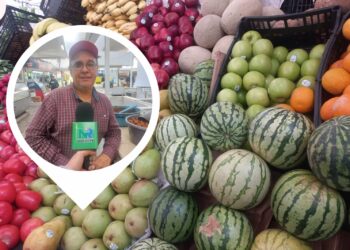 Estos son los productos más caros en opinión de la ciudadanía – NR | NOTICIAS 