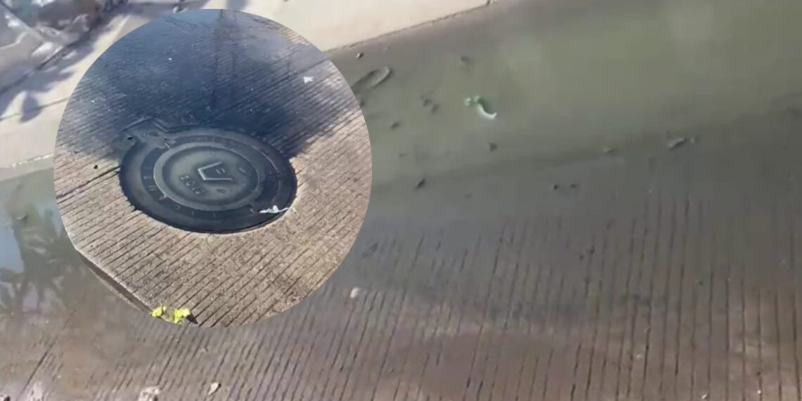 Ciudadanos reportan fallas en el servicio del drenaje en calle Santa Yolanda – NR | NOTICIAS