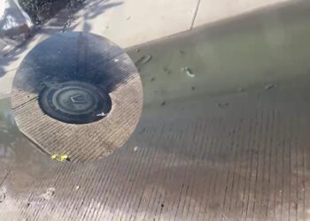 Ciudadanos reportan fallas en el servicio del drenaje en calle Santa Yolanda – NR | NOTICIAS