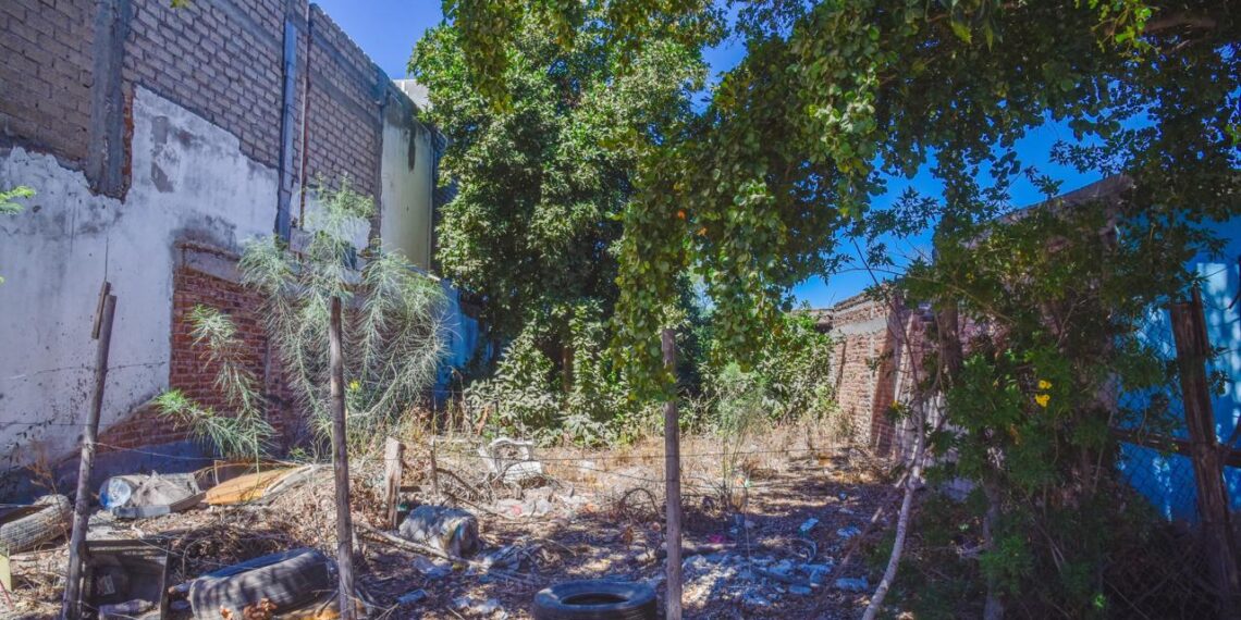 Ayuntamiento sancionará a propietarios de lotes baldíos enmontados