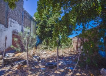 Ayuntamiento sancionará a propietarios de lotes baldíos enmontados