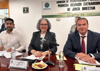 Nuevas Leyes en materia de Transparencia garantizan el derecho humano a la información: GDN