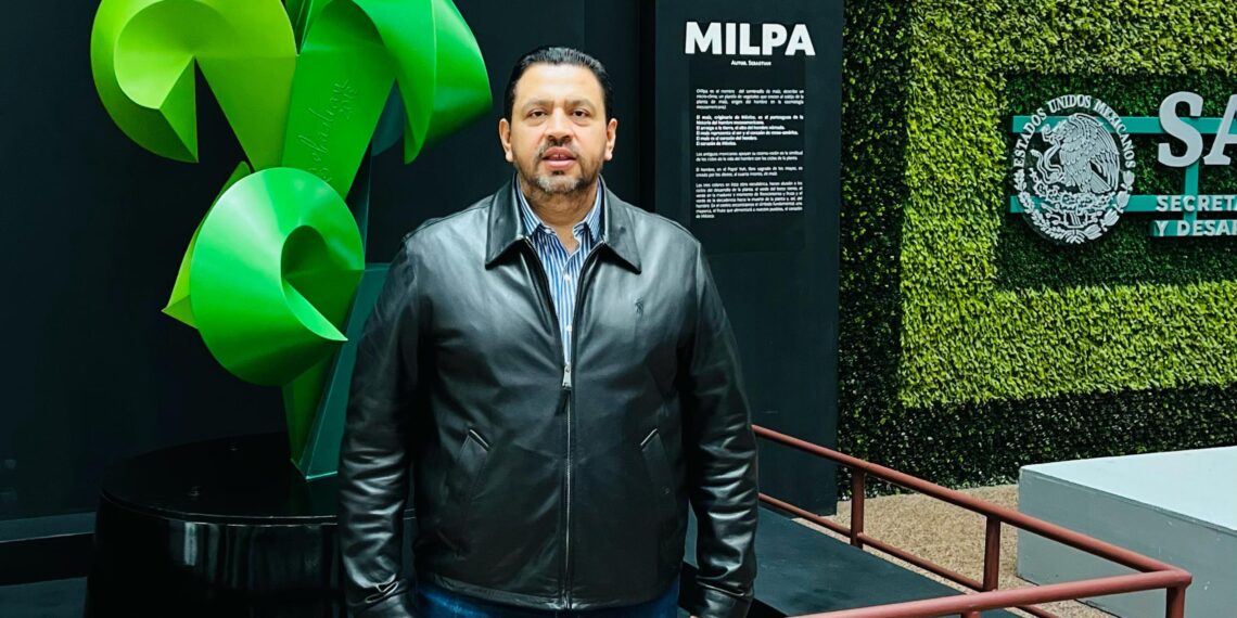 Ya inició el pago a los productores trigueros sinaloenses por parte de SADER, anuncia Ismael Bello Esquivel