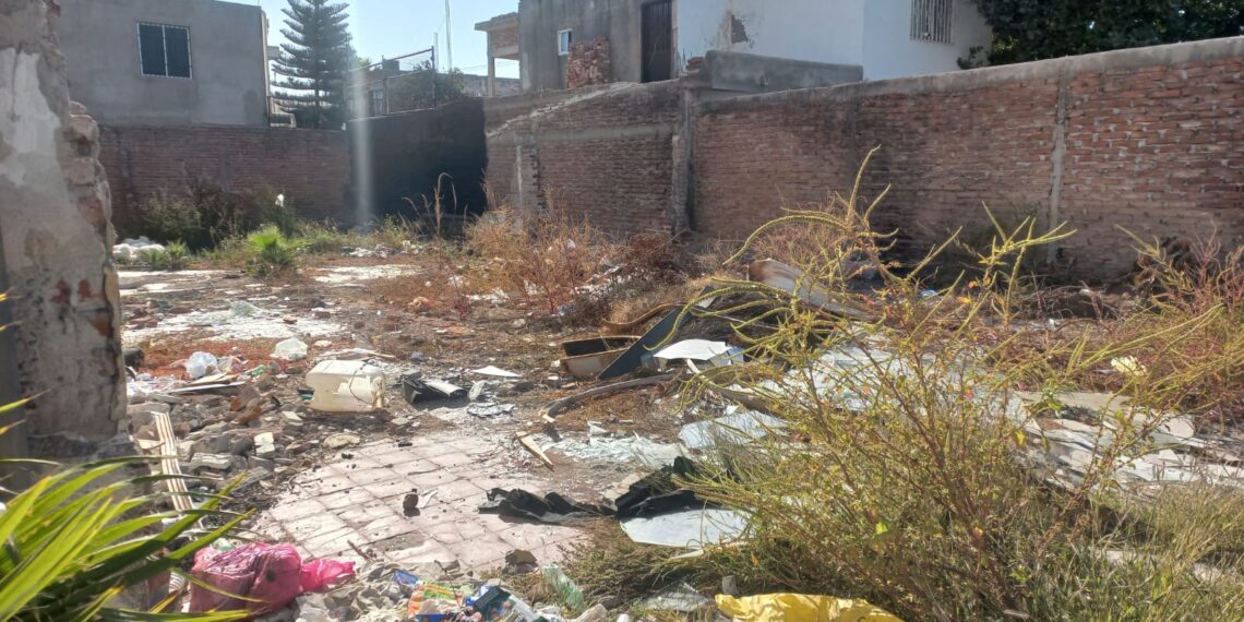 “Trabajamos en una campaña de limpieza para terrenos baldíos”: Servicios Públicos Ahome- NR | NOTICIAS