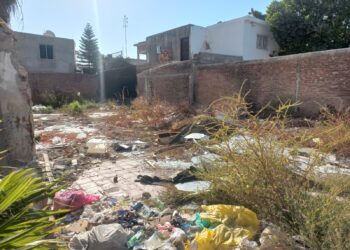 “Trabajamos en una campaña de limpieza para terrenos baldíos”: Servicios Públicos Ahome- NR | NOTICIAS