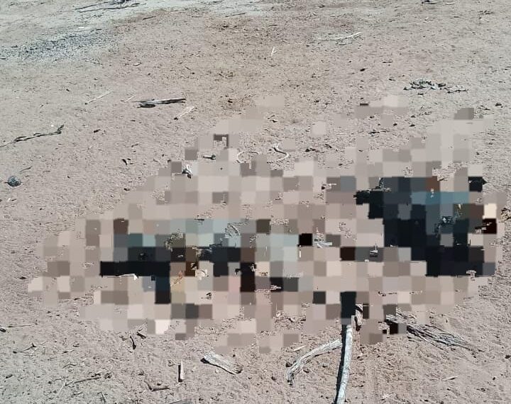 Animalistas denuncian envenenamiento de perros en Playa Camahuiroa – NR | NOTICIAS