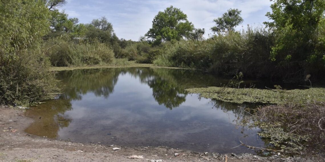 Por el Día Mundial del Agua, Ahome se suma a la limpieza del río Fuerte