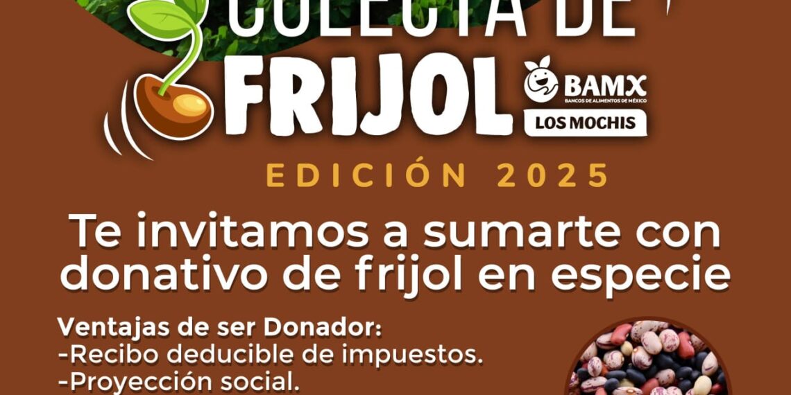 Lanzan colecta de frijol en Los Mochis para apoyar a familias vulnerables